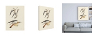 Trademark Global Wild Apple Portfolio Birds of Prey I Canvas Art - 36.5" x 48"